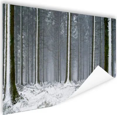 Produktbild von MuchoWow® Poster Bäume - Winter - Schnee 180x120 cm - Fotoplakat