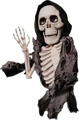 Obrázek produktu pro Skeleton