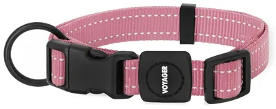 Image de Meilleurs accessoires pour animaux : Collier réfléchissant pour chien, longueur réglable, robuste