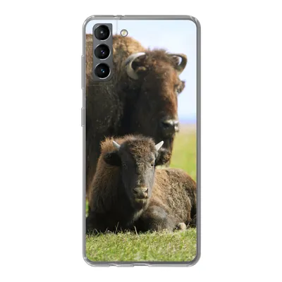 Produktbild von MuchoWow® Handyhülle Schutzhülle Hülle für Samsung Galaxy S21 Plus Büffel - Gras - Kalb Silikon Softcase Handy Hülle - Handy-Tasche