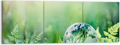 Produktbild von Bild auf Leinwand - Leinwandbild - natur natur - 150x50cm - Wand Bild - Wanddeko - Wandbilder - Leinwanddruck - Bilder - Kunstdruck - Wanddekoration - Leinwand bilder - Wandkunst - CA150x50-4041