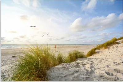 Produktbild von MuchoWow® Poster Strand - Meer - Vögel 180x120 cm - Fotoplakat