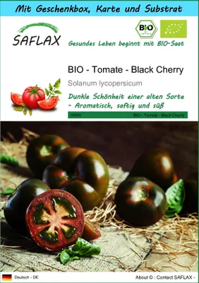 Produktbild von SAFLAX - Geschenk Set - BIO - Tomate - Black Cherry - 10 Samen - Mit Geschenk- / Versandbox, Versandaufkleber, Geschenkkarte und Anzuchtsubstrat - Solanum lycopersicum