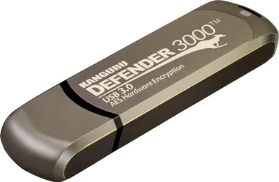 Produktbild von KANGURU Defender 3000 64GB