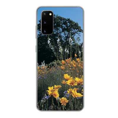 Produktbild von MuchoWow® Handyhülle Schutzhülle Hülle für Samsung Galaxy S20 Blumen - Natur - Farbe Silikon Softcase Handy Hülle - Bild