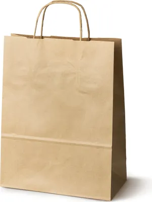Produktbild von Papiertüte mit gedrehtem Griff – Papiertragetasche aus Kraftpapier, braun, 24 + 10 × 32 cm