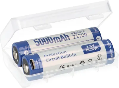 Two rechargeable batteries in a clear plastic case.