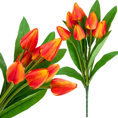 Immagine prodotto di Bouquet di tulipani Bellissimo come i tulipani della vita Fiori arancioni X9