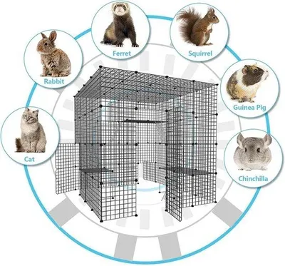 Image de Cage pour chiens
