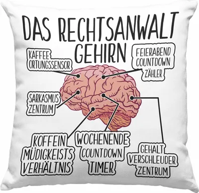 Produktbild von Trendation - Jura Deko-Kissen mit Füllung 40x40 Geschenk Spruch Jurist Geschenkidee Anwalt Jura-Studium Lustige Sprüche (Grau)