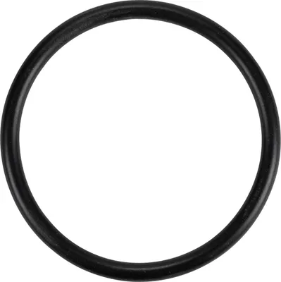 Produktbild von Ring Dichtung für das Kurbelgehäuse 14471080