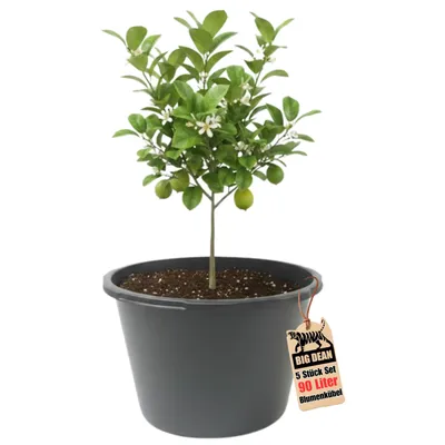 Produktbild von BigDean Blumenkübel XXL 90 Liter 43cm hoch 63cm Durchmesser Europe