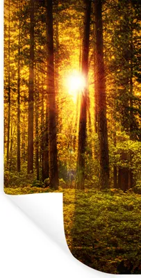 Produktbild von MuchoWow® Wandtattoo Wandsticker Wandaufkleber Wald - Sonne - Bäume - Natur - Sonnenuntergang 80x160 cm Selbstklebend und Repositionierbar - Sticker - Dekorfolie