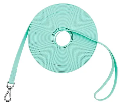 Produktbild von Schleppleine für Hunde wasserdicht 1,6 cm x 3 m Mintgrün PVC-beschichtet