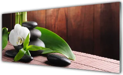 Produktbild von Glasbilder 125x50 Wandbild Druck auf Glas Blumen Steine Blätter Pflanzen