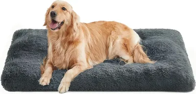 Produktbild von FEANDREA Hundebett, Haustiermatte, weich, 122 x 74 cm, weiche Füllung, maschinenwaschbar, Kissen für Hunde, multifunktional, dunkelgrau