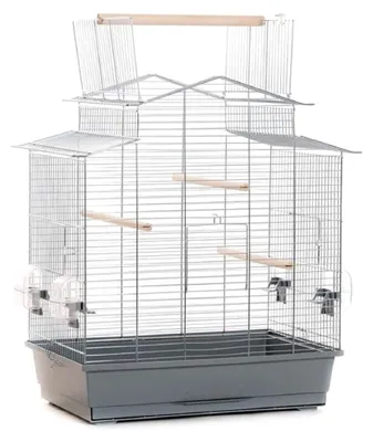 Produktbild von Ollesch XXL Vogelkäfig für Wellensittiche und Kanarienvögel mit Freisitz 58,5 x 38 x 65 cm