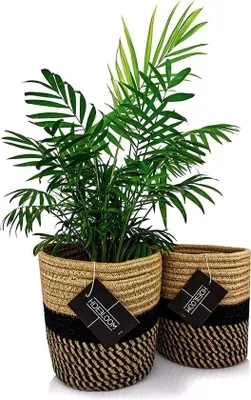 Produktbild von Famanu Set von 2 Töpfen - 16 x 16 cm - schwarz/braun