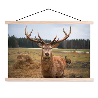 Obrázok produktu pre MuchoWow® Textilný plagát - Jeleň - príroda - lúka - 60x40cm - S hnedými lamelami
