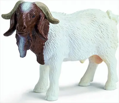 Obrázok produktu pre SCHLEICH 13258 - Burenziegenbock
