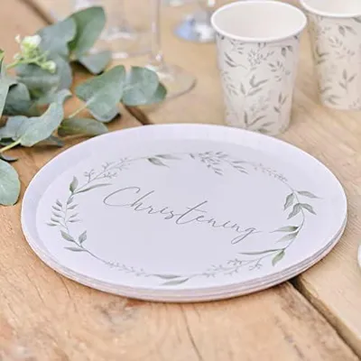Produktbild von Pappteller in Weiß und Grün, 25 cm, 8 Stück