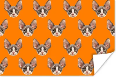 Produktbild von MuchoWow® Poster Tier - Orange - Muster 30x20 cm - Plakate - Print