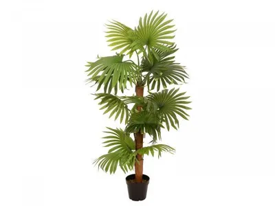 Obrázek produktu pro Europalms Fächerpalme Kunstpflanze 130cm 82509302