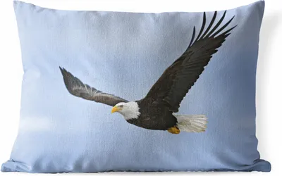 Produktbild von MuchoWow® Outdoor Kissen - Ein fliegender Weißkopfseeadler - 50x30 cm - Wetterfest - Lounge Kissen - Sofa kissen - Wohnzimmer Dekoration