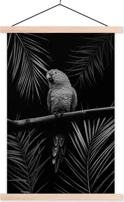 Produktbild von MuchoWow® Textilposter Vogel auf schwarzem Hintergrund - schwarz und weiß 120x180 cm mit holzfarbenen Rahmen - Textil-Plakat
