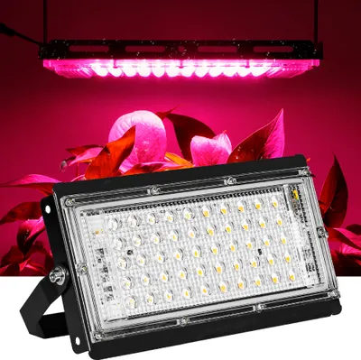 A grow light and a floodlight are shown in front of a pink background with some leaves.