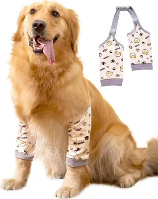 Produktbild von Hunde-Rehabilitationsmanschette für Vorderpfoten, Ellbogenprotektor für Hunde, Gelenkprotektor für Hundeknie
