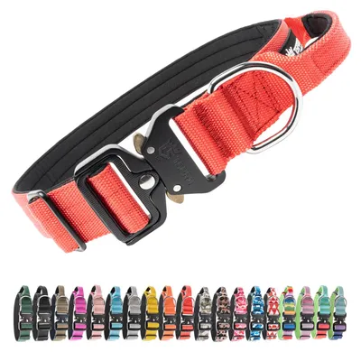 Produktbild von TSPRO Taktisches Hundehalsband mit Metall-Schnellverschluss & Griff