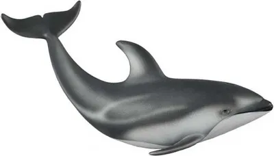 Image de COLLECTA Dauphin du Pacifique 88612 86121