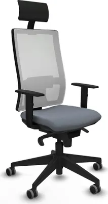 Image de Bürostuhl Piqueras y Crespo 1D066G1 Grau