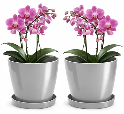 Immagine prodotto di Set di 2 vasi decorativi in plastica con sottovaso, diametro 28 cm, colore grigio