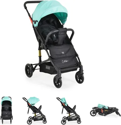 Produktbild von Moni Kinderwagen Buggy Colibri, faltbar, verstellbar, 5-Punkt-Gurt, ab 6 Monaten türkis