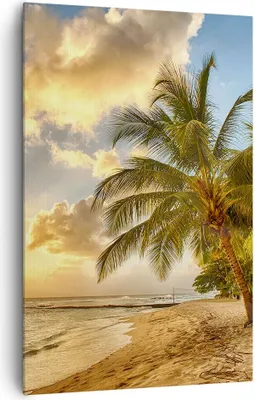 Produktbild von Bild auf Leinwand - Leinwandbild - Einteilig - Strand Meer Palme - 80x120cm - Wand Bild - Wanddeko - Wandbilder - Leinwanddruck - Wanddekoration - Leinwand bilder - Wandbild - PA80x120-3606