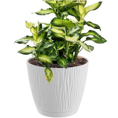 Zdjęcie produktu dla Doniczka Sandy z miską biała 16,8 cm