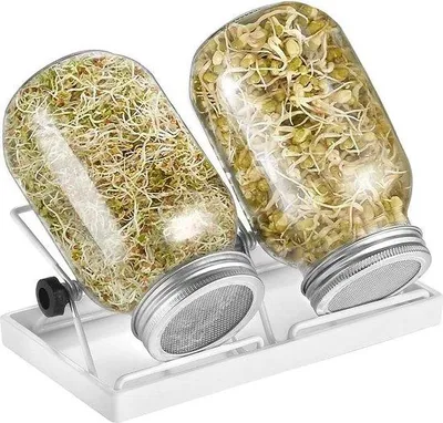 Produktbild von Famanu Kiemglas Set 2er - Kiemgläser mit Wasserschale und Edelstahlfilterdeckeln