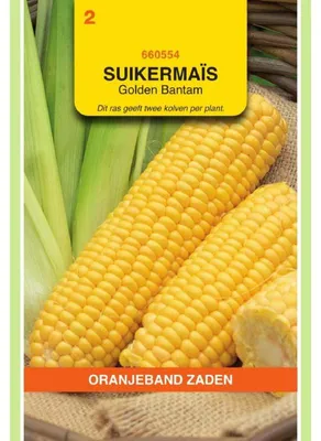 Produktbild von Oranjeband Zuckermais Golden Bantam - 1 Packung Saatgut