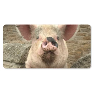 Produktbild von MuchoWow® Mauspad Mousepad Schwein - Rosa - Tier 60x30 cm - Mousepads - Maus Mat - Pad - Mausunterlage - Nachhaltig