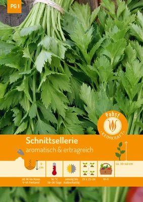Artikelbild 1 von 'Schnittsellerie Gewone Snij' aus der Kategorie Schnittselleriesamen