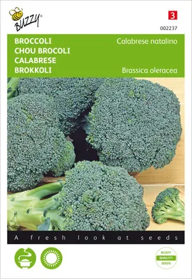 Produktbild von Brokkoli Calabrese natalino | Brokkolisamen von Buzzy Seeds