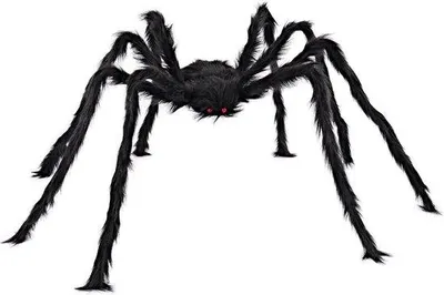 Productafbeelding van Famanu Halloween-decoratie: harige spin - 1,52 meter, zwart