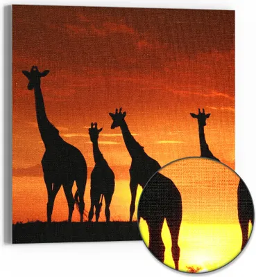 Produktbild von DEQORI Hybrid Leinwand Bild 30x30 cm 'Abend in der Savanne' Wandbild Glas flach modern