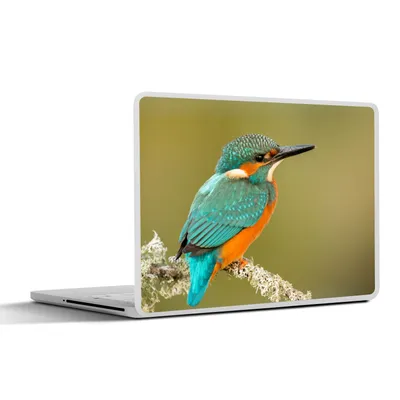 Produktbild von MuchoWow® Laptop Aufkleber Sticker Cover Eisvogel - Tiere - Vogel 32.5x23.5 cm - Sticker für Laptop - Selbstklebend