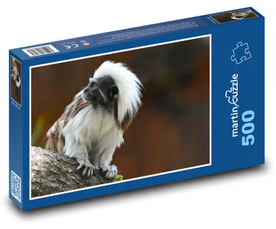 Obrázek produktu pro Puzzle 500 Opice v zoo - martinpuzzle