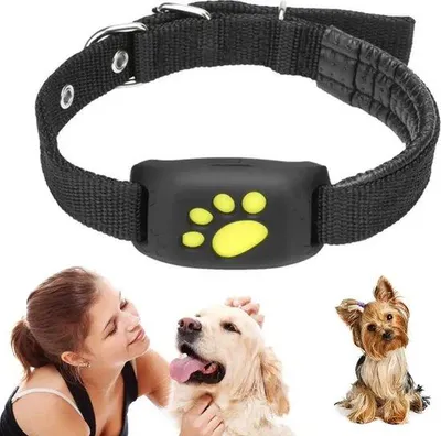 Produktbild von Schwarzes GPS-Halsband für Hunde und Katzen, verstellbar 43-58cm