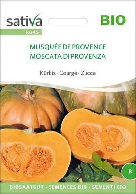 Produktbild von Kürbis Musquée De Provence | Kürbissamen von Sativa Rheinau