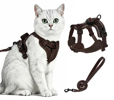 Produktbild von Katzengeschirr mit Leine Ausbruchsicher AirTag Halterung Braun XL